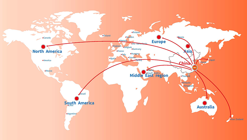 Ningbo Meace Evcil Hayvan Ürünleri Co, Ltd